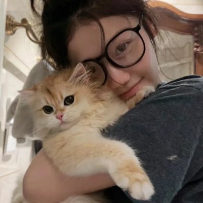 芝加哥警署第十季